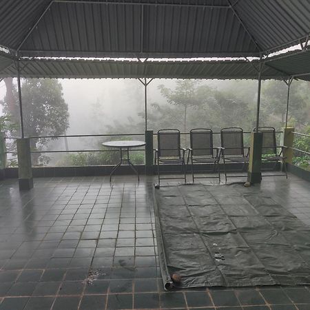 Rohana Estate Lodging & Camping 캔디 외부 사진