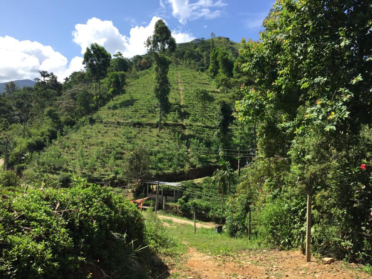 Rohana Estate Lodging & Camping 캔디 외부 사진